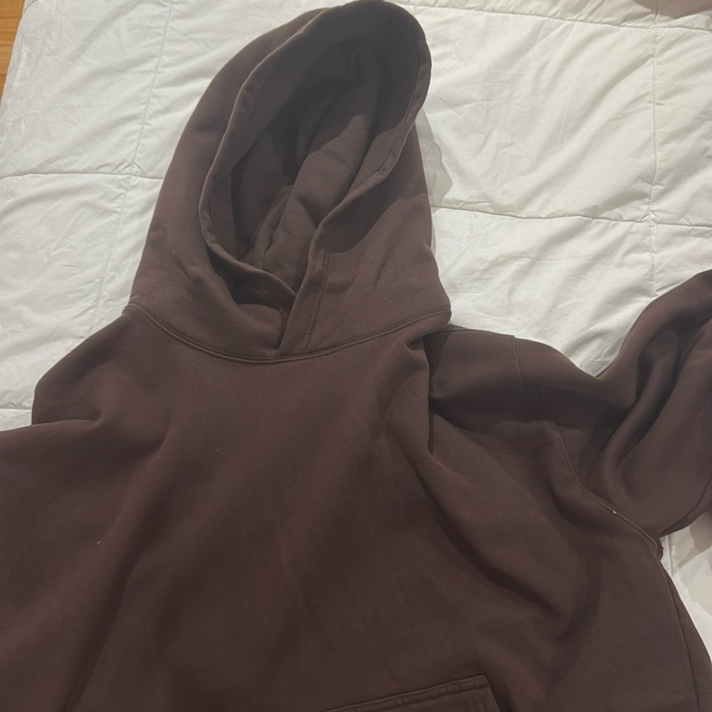 Aritzia~ Brown Hoodie